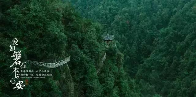 性骚案办成了谋反案